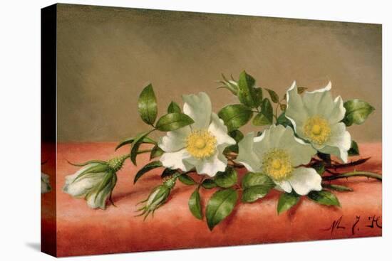 Cherokee Roses, 1889-Martin Johnson Heade-Premier Image Canvas