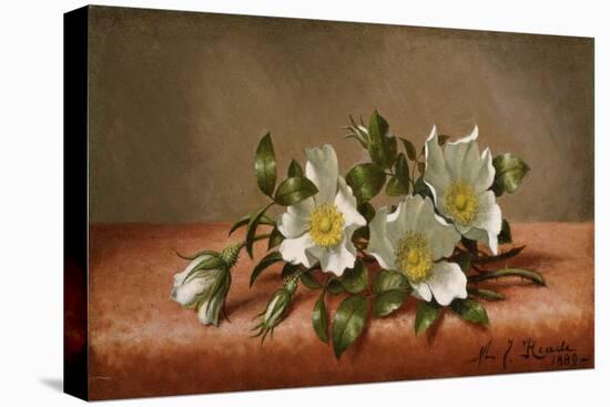 Cherokee Roses, 1889-Martin Johnson Heade-Premier Image Canvas