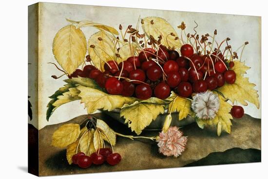 Cherries and Carnations-Giovanna Garzoni-Premier Image Canvas