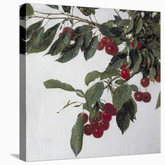 Cherries, c.1883-Henri Fantin-Latour-Premier Image Canvas