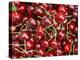 Cherries, Ripponvale, near Cromwell, Central Otago, South Island, New Zealand-David Wall-Premier Image Canvas