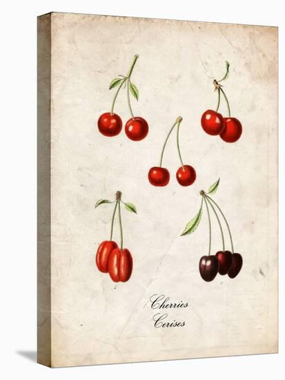 Cherries-null-Stretched Canvas