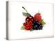 Cherry and Fresh Berries-Klaus Stemmler-Premier Image Canvas