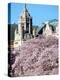 Cherry Blooms at the University of Washington, Seattle, Washington, USA-William Sutton-Premier Image Canvas