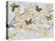 Cherry Blossom Bflies-Diane Stimson-Stretched Canvas