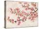 Cherry Blossom Composition I-Tim OToole-Stretched Canvas