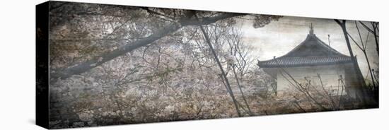 Cherry Blossom Garden-Tony Koukos-Stretched Canvas