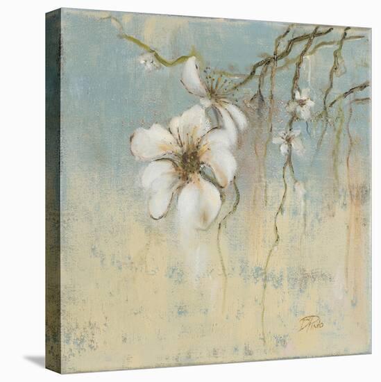 Cherry Blossom I-Patricia Pinto-Stretched Canvas