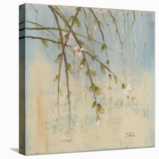 Cherry Blossom II-Patricia Pinto-Stretched Canvas