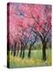 Cherry Blossom in the Meadow, 2022 (Acrylic)-Ann Oram-Premier Image Canvas