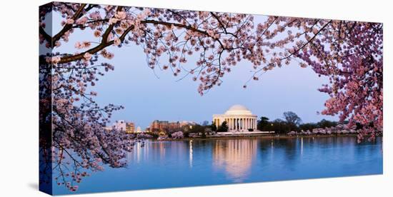 Cherry Blossom Tree with a Memorial in the Background, Jefferson Memorial, Washington Dc, USA-null-Stretched Canvas