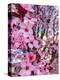 Cherry Blossom-Heidi Bannon-Stretched Canvas