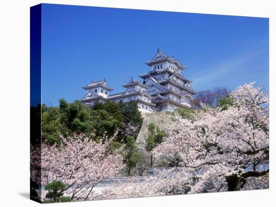 Cherry Blossoms and Himeji Castle-null-Premier Image Canvas