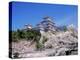 Cherry Blossoms and Himeji Castle-null-Premier Image Canvas