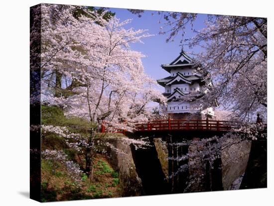 Cherry Blossoms and Hirosaki Castle-null-Premier Image Canvas