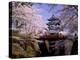Cherry Blossoms and Hirosaki Castle-null-Premier Image Canvas