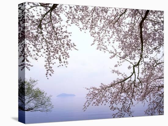 Cherry Blossoms and Lake Biwa-null-Premier Image Canvas