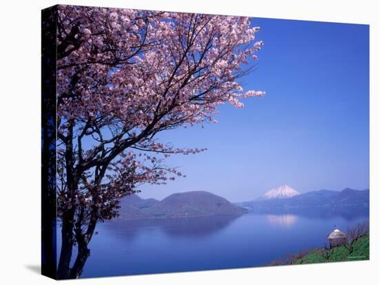 Cherry Blossoms and Lake Toyah-null-Premier Image Canvas