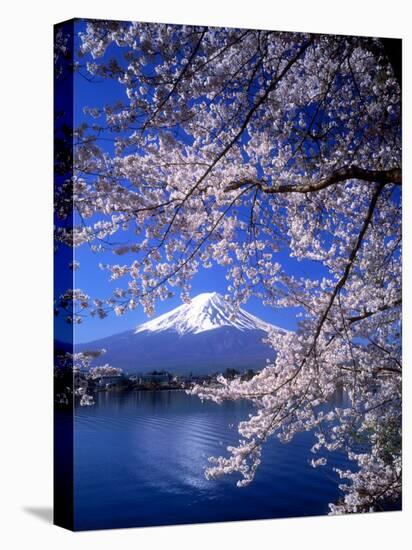 Cherry Blossoms and Mt. Fuji-null-Premier Image Canvas