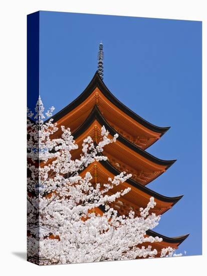 Cherry Blossoms at Itsukushima Jinja Shrine-Rudy Sulgan-Premier Image Canvas