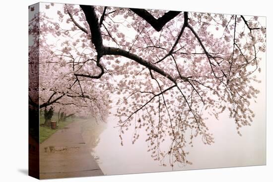 Cherry blossoms at the lakeside, Washington DC, USA-null-Premier Image Canvas