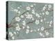 Cherry Blossoms Gray-Diane Stimson-Stretched Canvas