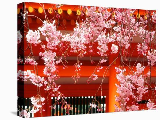 Cherry Blossoms, Heian-Jingu Shrine, Kyoto, Japan-null-Premier Image Canvas