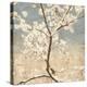 Cherry Blossoms I-John Seba-Stretched Canvas