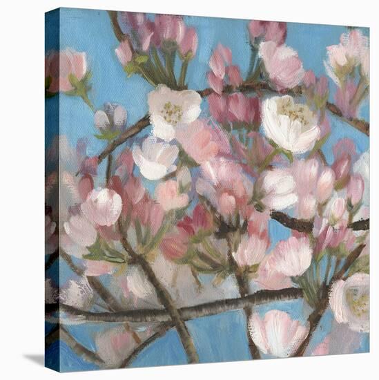 Cherry Blossoms I-Sandra Iafrate-Stretched Canvas