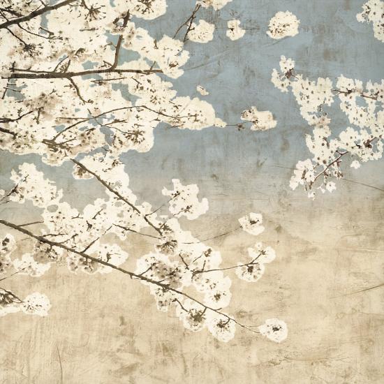 Cherry Blossoms II-John Seba-Stretched Canvas