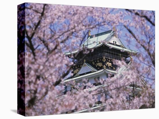 Cherry Blossoms in Front of Osaka Castle-Robert Essel-Premier Image Canvas