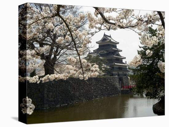 Cherry Blossoms, Matsumoto Castle, Matsumoto City, Nagano Prefecture, Honshu Island, Japan-Christian Kober-Premier Image Canvas