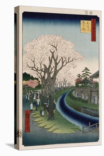 Cherry Blossoms, Tama River Embankment-Ando Hiroshige-Premier Image Canvas