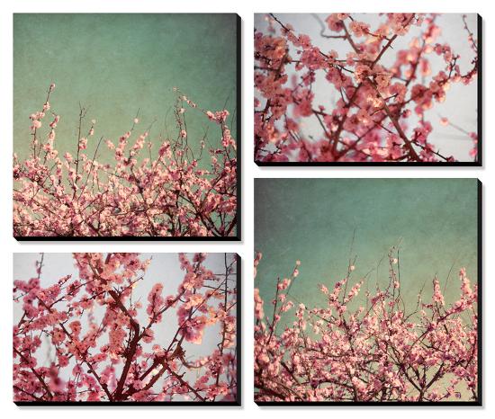 Cherry Blossoms-Susan Bryant-Stretched Canvas