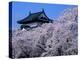 Cherry Blossoms-null-Premier Image Canvas