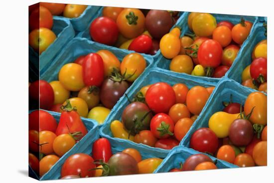 Cherry Tomatoes at a Farmer's Market in Savannah, Georgia, USA-Joanne Wells-Premier Image Canvas
