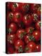 Cherry Tomatoes-Mark Gibson-Premier Image Canvas