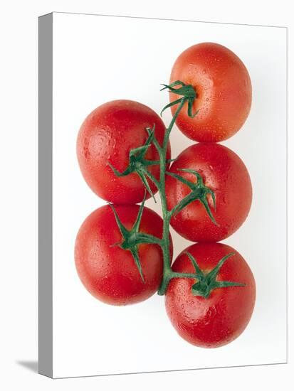 Cherry Tomatoes-Mark Sykes-Premier Image Canvas