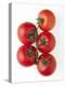 Cherry Tomatoes-Mark Sykes-Premier Image Canvas