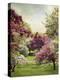 Cherry Tree Grove-Jessica Jenney-Premier Image Canvas