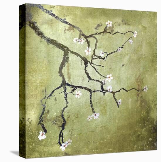 Cherry Tree II-Karen Williams-Premier Image Canvas