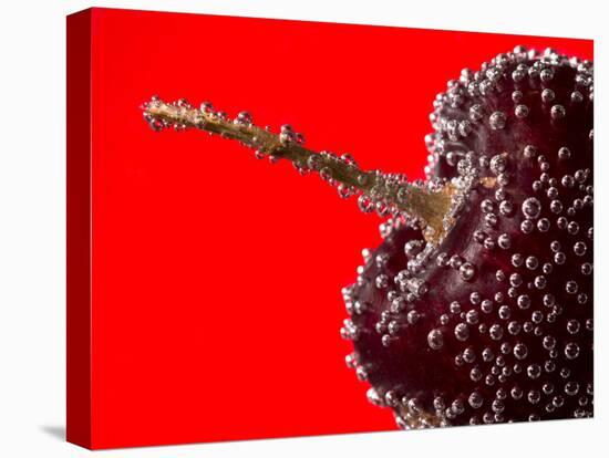 Cherry Underwater-Gordon Semmens-Premier Image Canvas