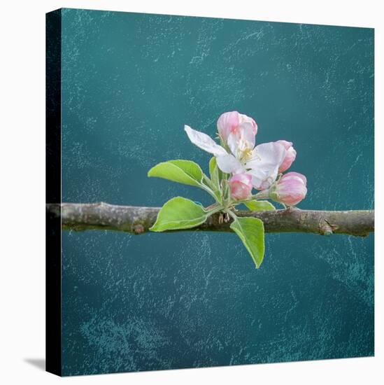 cherry-Viviane Fedieu Danielle-Premier Image Canvas