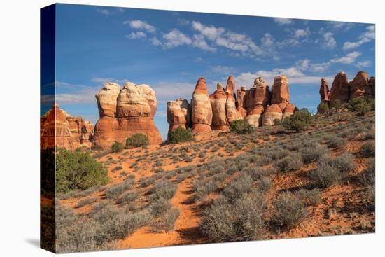 Chesler Park Canyonlands National Park, Utah-Alan Majchrowicz-Premier Image Canvas