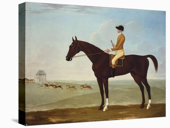 Chesnut Racehorse with Jockey Up on Newmarket Heath, 18th Century-John Byam Shaw-Premier Image Canvas