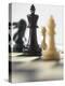 Chess-Tek Image-Premier Image Canvas