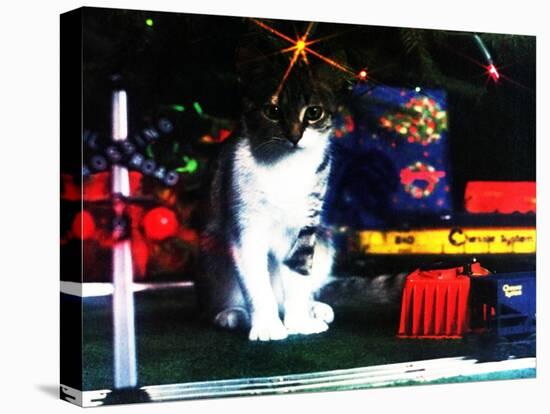 Chessie under the Christmas Tree-null-Premier Image Canvas