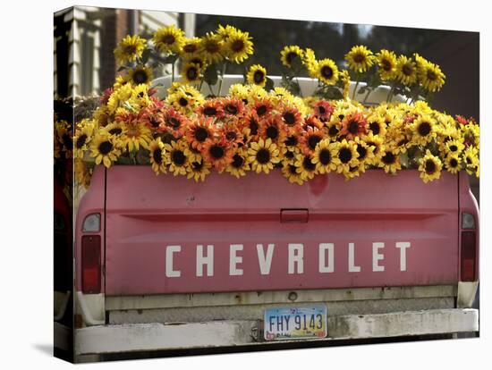 Chevrolet-Amy Sancetta-Premier Image Canvas