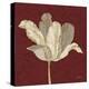 Chianti Behind Tulip-Diane Stimson-Stretched Canvas