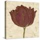 Chianti Tulip-Diane Stimson-Stretched Canvas